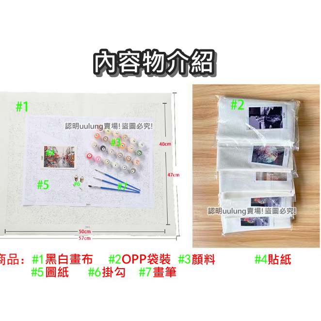 【我家有隻貓】🚀特價出清🚀DIY數字油畫 40x50cm 居家裝飾 紓壓好物 美術創作 繪畫 可愛動物 交換禮物-細節圖3