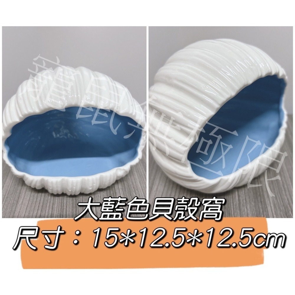 ✔️現貨 3色倉鼠貝殼窩  粉/藍/紫色 (倉鼠陶瓷窩/倉鼠大貝殼窩/倉鼠睡窩/三線鼠/黃金鼠/一線鼠)-細節圖3