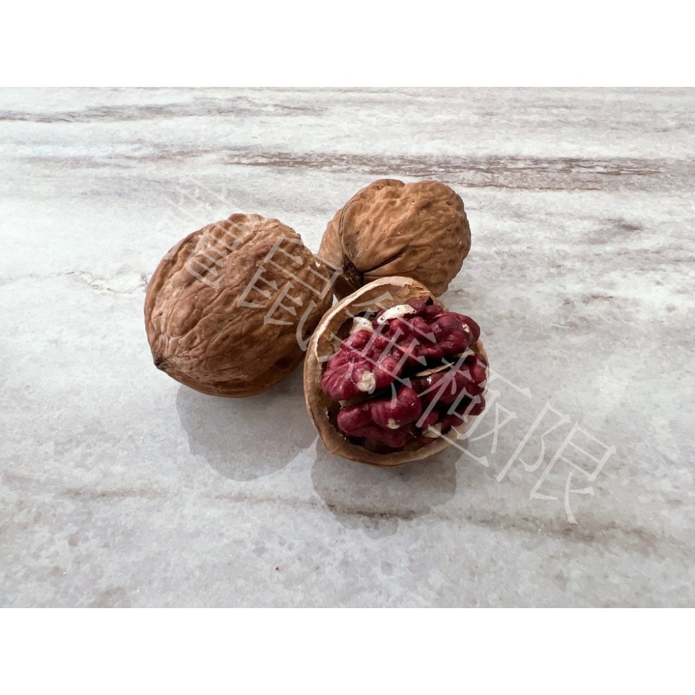 ✔️現貨 寵物帶殼核桃5入裝  可磨牙用 (倉鼠核桃/倉鼠帶殼核桃/倉鼠零食/三線鼠/黃金鼠/蜜袋鼯/睡鼠/鸚鵡/松鼠)-細節圖5