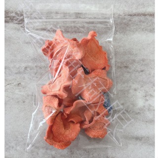 ✔️現貨限量 新鮮手烘-倉鼠紅蘿蔔乾  10g 倉鼠紅蘿蔔片/倉鼠零食/三線鼠/黃金鼠/蜜袋鼯/睡鼠/狗/貓/兔子)-細節圖2