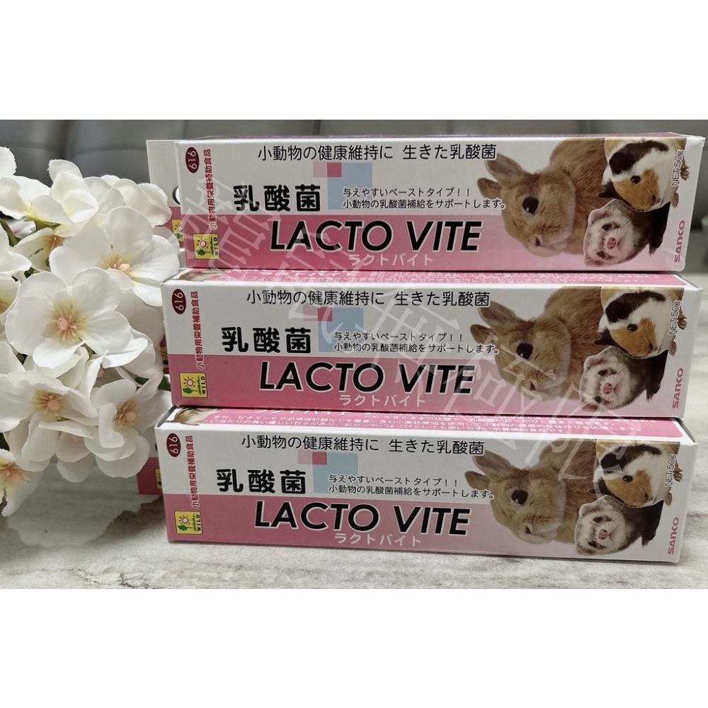 ✔️現貨 日本品高sanko 小動物營養膏、乳酸菌整腸膏、高蛋白營養膏 (一線鼠、倉鼠營養膏、三線鼠、黃金鼠)-細節圖2