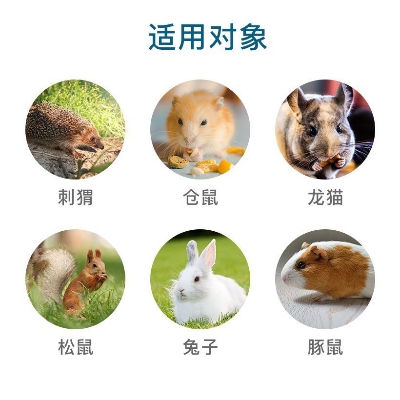 ✔️ 現貨 各種倉鼠花草墊料  倉鼠yee花草墊料 可食用花墊材 (倉鼠墊材/倉鼠墊料/三線鼠/睡鼠/黃金鼠/一線鼠)-細節圖6