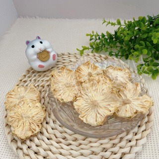 ✔️新品 新鮮倉鼠凍乾鳳梨乾15g  倉鼠鳳梨乾 鼠鼠鳳梨乾(倉鼠果乾/倉鼠凍乾/倉鼠/三線鼠/黃金鼠/蜜袋鼯/睡鼠)-細節圖2