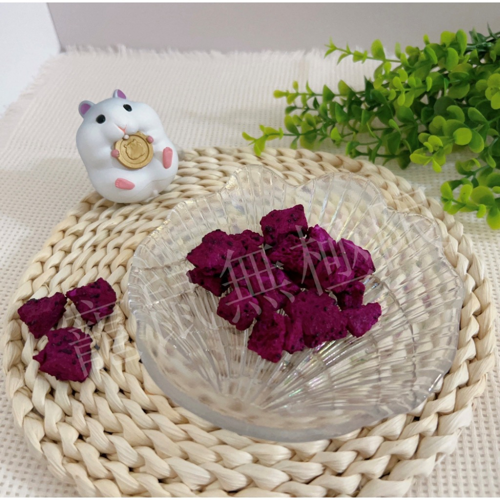 ✔️新品 倉鼠無添加火龍果乾10g   倉鼠火龍果乾  (倉鼠果乾/鼠鼠火龍果/倉鼠/三線鼠/黃金鼠/蜜袋鼯/睡鼠)-細節圖2