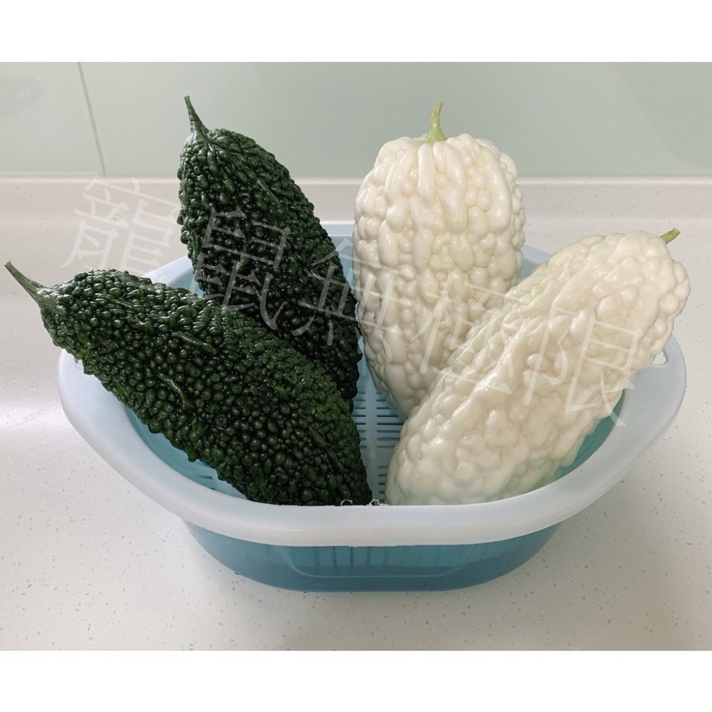 ✔️新鮮手烘-倉鼠雙色苦瓜乾 5g (倉鼠白玉苦瓜乾/倉鼠苦瓜乾/倉鼠零食/三線鼠/黃金鼠/狗/貓/兔子)-細節圖3