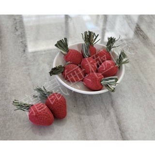 ✔️現貨 倉鼠迷你胡蘿蔔/倉鼠迷你草莓(倉鼠紅蘿蔔/倉鼠草莓/倉鼠迷你小草莓/三線鼠/黃金鼠/蜜袋鼯/睡鼠/兔子/龍貓-細節圖3