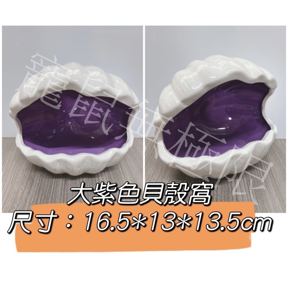 ✔️ 倉鼠陶瓷窩 寶貝球/貝殼/小雞窩 (倉鼠神奇寶貝球/倉鼠貝殼窩/倉鼠小雞窩/倉鼠睡窩/三線鼠/黃金鼠/一線)-細節圖8