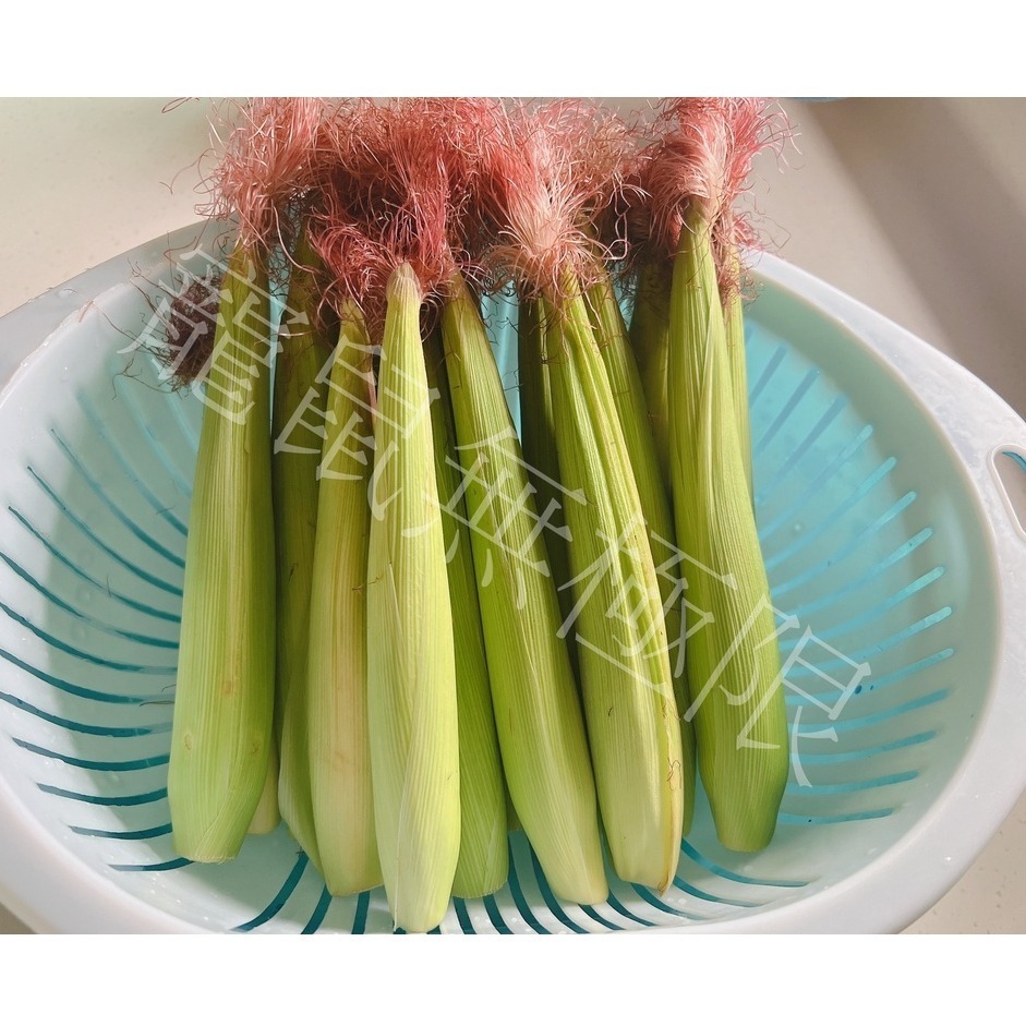 ✔️新鮮手烘-倉鼠玉米筍乾5g袋裝 選用帶殼玉米筍剝製而成(倉鼠玉米乾/倉鼠零食/三線鼠/黃金鼠/蜜袋鼯/睡鼠/兔子)-細節圖3