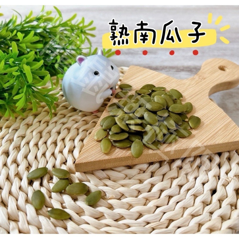 ✔️現貨 倉鼠腰果/南瓜子 50g袋裝  倉鼠熟堅果 倉鼠堅果 (倉鼠零食/三線鼠/黃金鼠/蜜袋鼯/睡鼠/鼠瓜子)-細節圖2