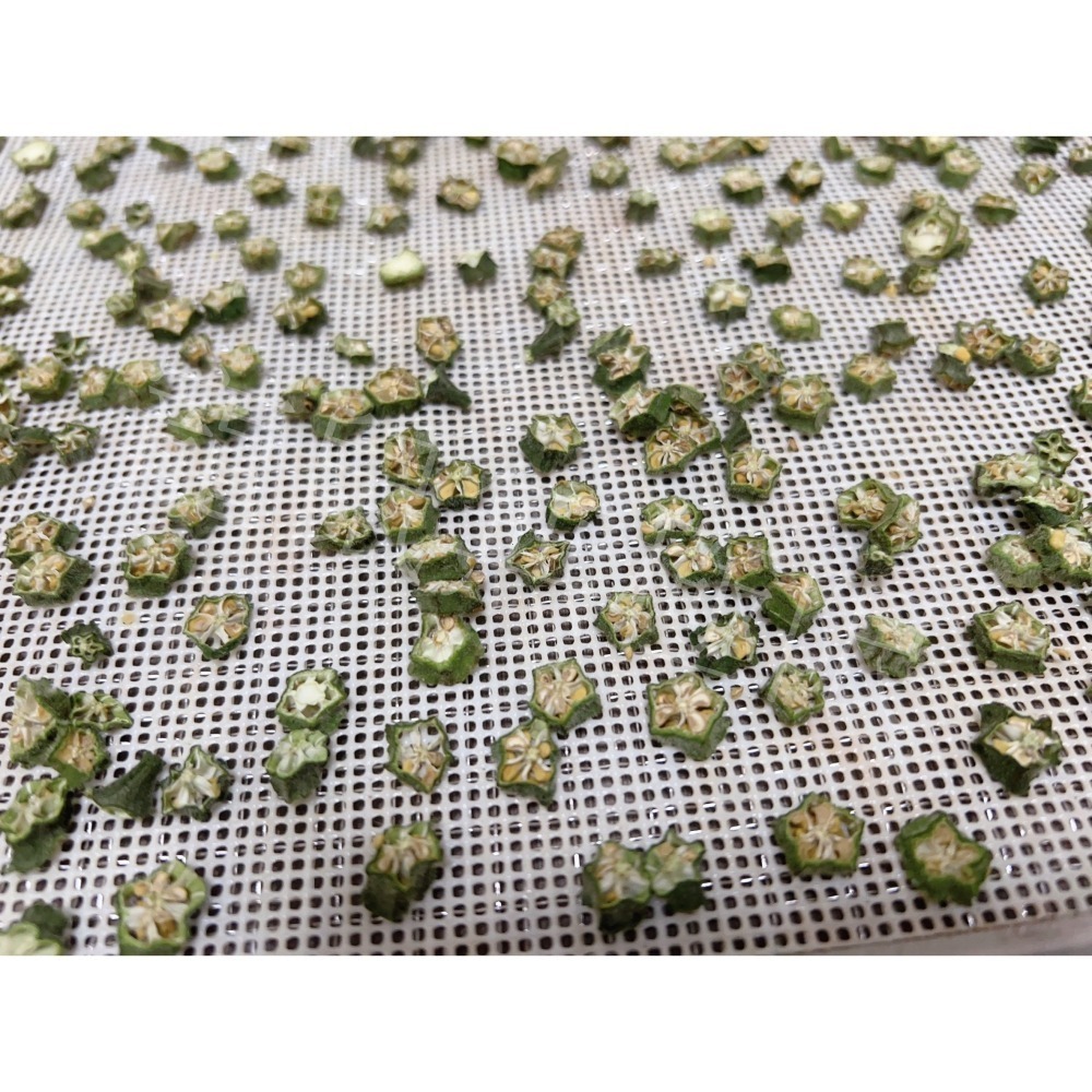 ✔️新品 新鮮倉鼠秋葵乾 5g袋裝 (倉鼠果乾/倉鼠零食/三線鼠/黃金鼠/蜜袋鼯/睡鼠/兔子/寵物秋葵乾-細節圖6