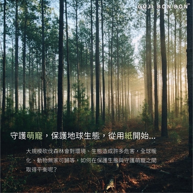 ✔️【寵鼠無極限】新品現貨 咕嘰蹦蹦 竹之森 小寵墊料 墊材 原生竹漿 無粉塵 低敏 倉鼠紙綿 倉鼠墊料-細節圖8