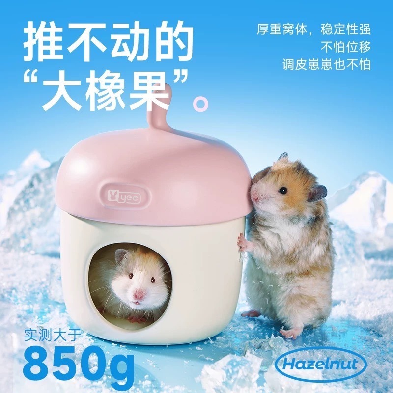 【寵鼠無極限】新品現貨  倉鼠 yee橡果陶瓷窩 降溫冰屋 夏季首選  倉鼠陶瓷屋  黃金鼠/倉鼠/一線鼠/三線鼠-細節圖5