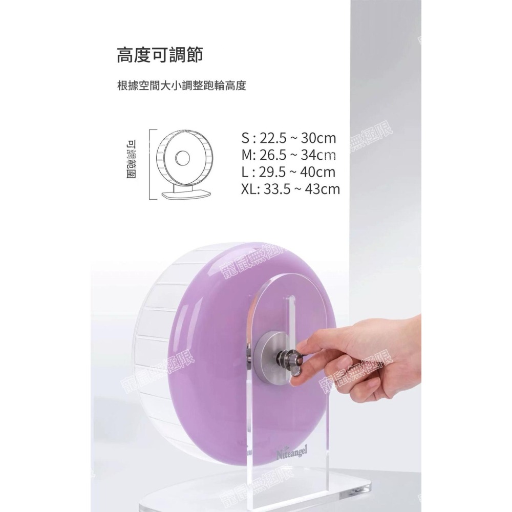 ✔️【寵鼠無極限】艾特超跑跑輪 透明 21、26、28公分 倉鼠滾輪 倉鼠跑輪 靜音滾輪 艾特跑輪 三線鼠、黃金鼠-細節圖5