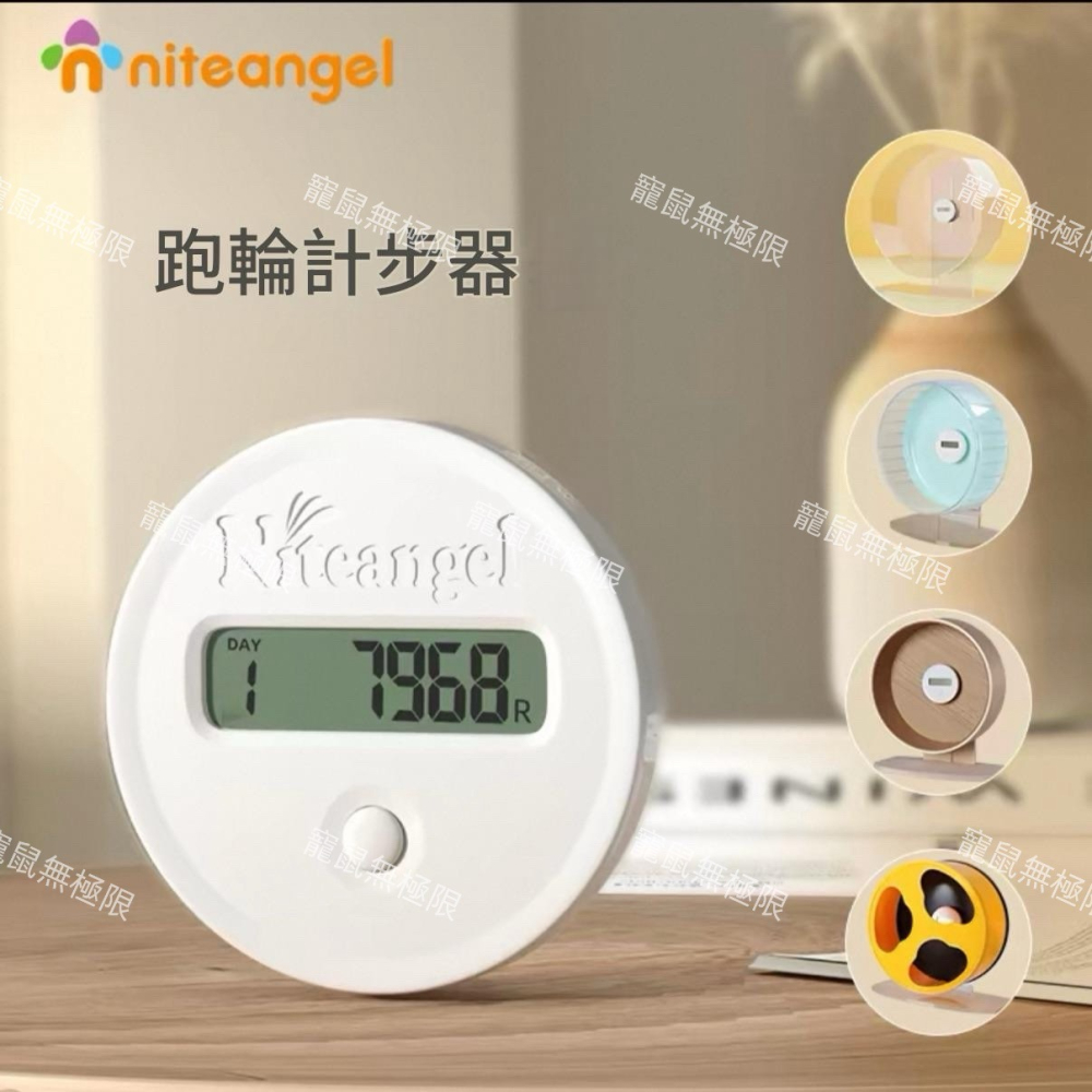 ✔️【寵鼠無極限】艾特超跑跑輪 透明 21、26、28公分 倉鼠滾輪 倉鼠跑輪 靜音滾輪 艾特跑輪 三線鼠、黃金鼠-細節圖8