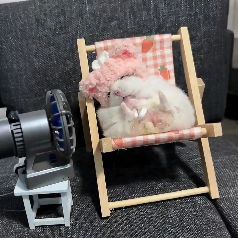 ✔️【寵鼠無極限】新品 小寵懶人躺椅  倉鼠躺椅  網美躺椅 迷你躺椅  拍鼠鼠網美照很適合 巴適躺椅-細節圖3