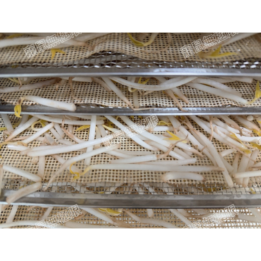 ✔️【寵鼠無極限】手工烘製 倉鼠豆芽菜乾 5g袋裝  (倉鼠果乾/倉鼠零食/三線鼠/黃金鼠/寵物豆芽菜乾)-細節圖3