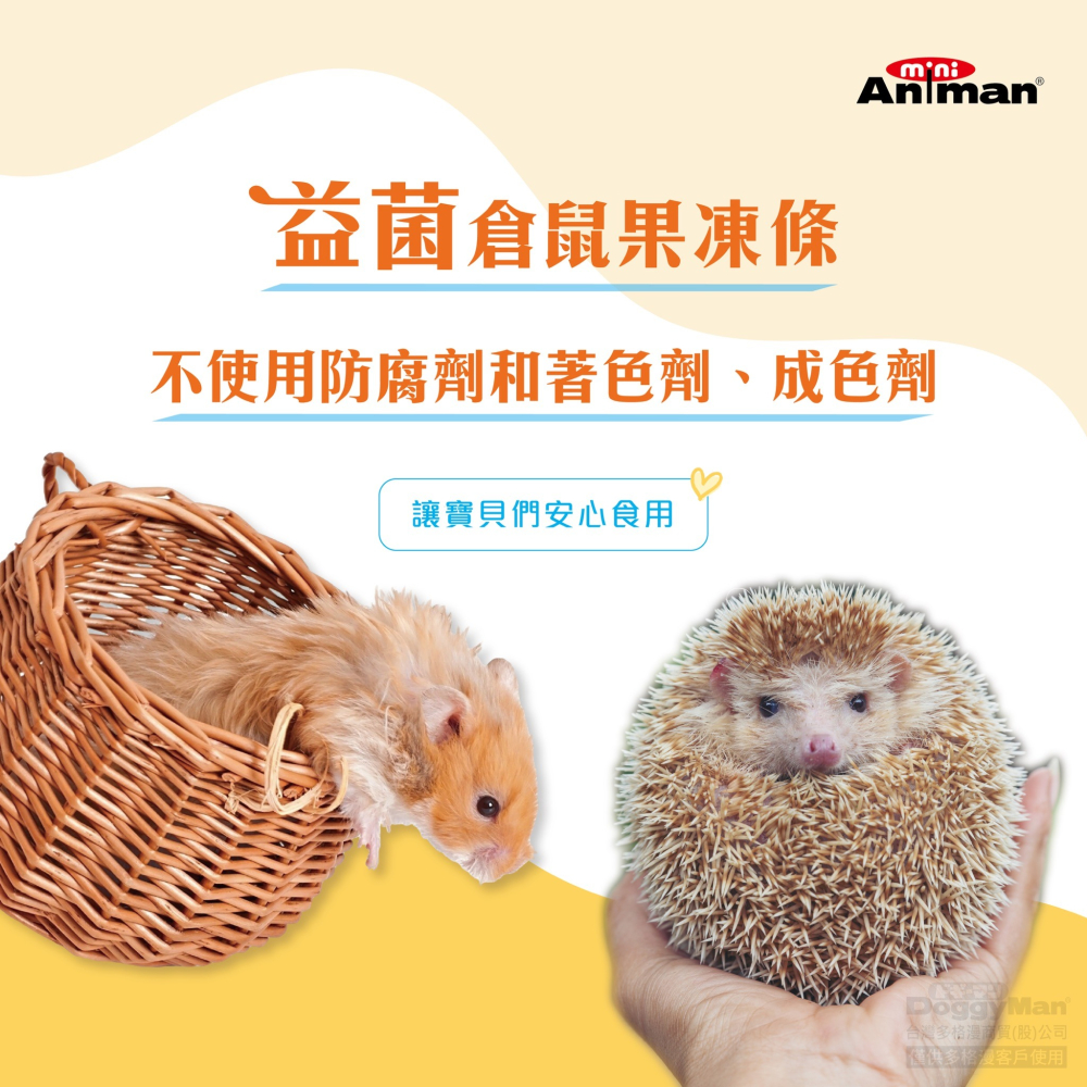 【寵鼠無極限】日本Mini Animan益菌倉鼠肉泥條 雞肉&玉米、雞肉&起司口味(倉鼠雞肉泥 三線鼠 黃金鼠 )-細節圖3