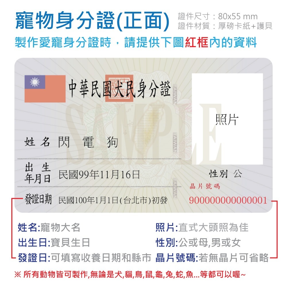 寵物身分證 身分證 健保卡 汪星人 喵星人 毛小孩 寵物 項圈 名牌 吊牌 掛牌 身份證-細節圖2