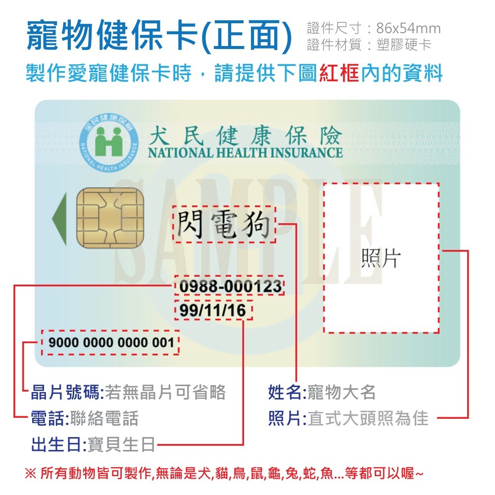 寵物身分證 身分證 健保卡 汪星人 喵星人 毛小孩 寵物 項圈 名牌 吊牌 掛牌 身份證-細節圖4