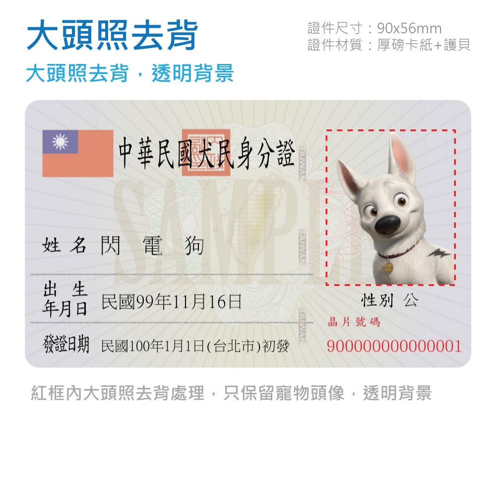 寵物身分證 身分證 健保卡 汪星人 喵星人 毛小孩 寵物 項圈 名牌 吊牌 掛牌 身份證-規格圖7