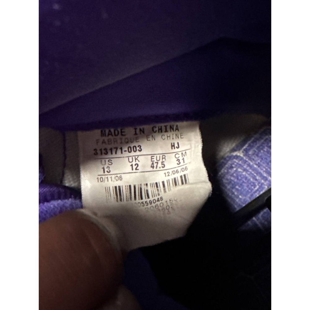 【US13】Nike SB Dunk High Dinosaur Jr. (2007) 313171-003-細節圖6