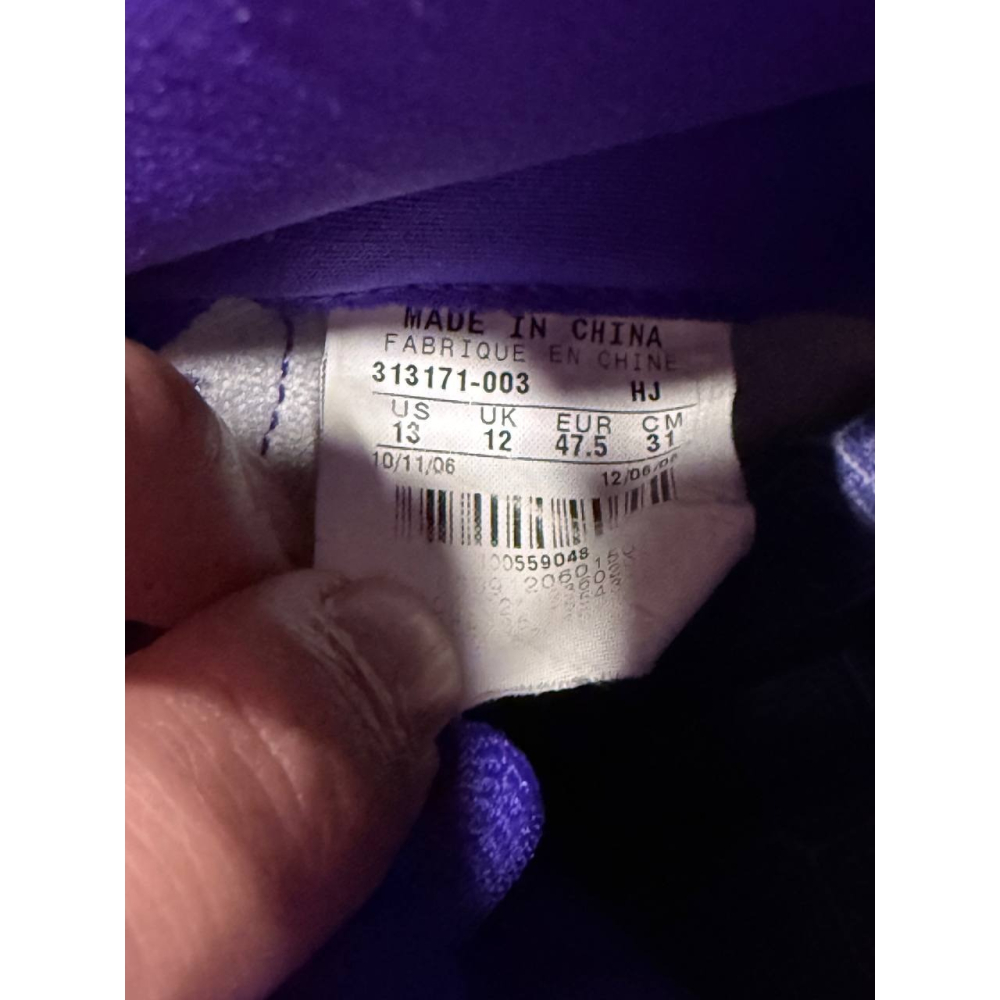 【US13】Nike SB Dunk High Dinosaur Jr. (2007) 313171-003-細節圖9