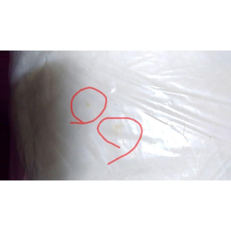 7-11 角落生物 造型和室椅  白熊款-細節圖3