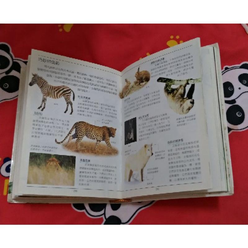 [二手] 迷你彩圖 動物百科全書-細節圖3