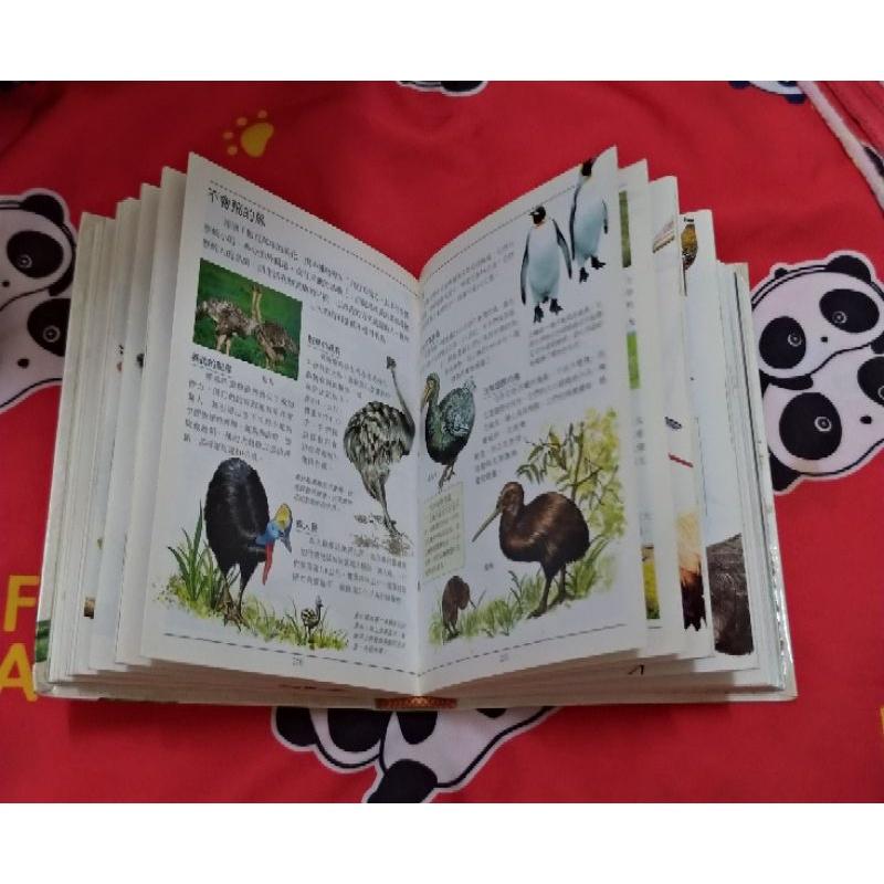 [二手] 迷你彩圖 動物百科全書-細節圖4
