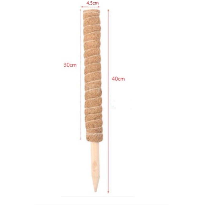 椰纖棒 椰棒 50、40公分 椰柱 疊加型 可串接加長 龜背芋攀爬  蔓綠絨 龜背芋-細節圖5
