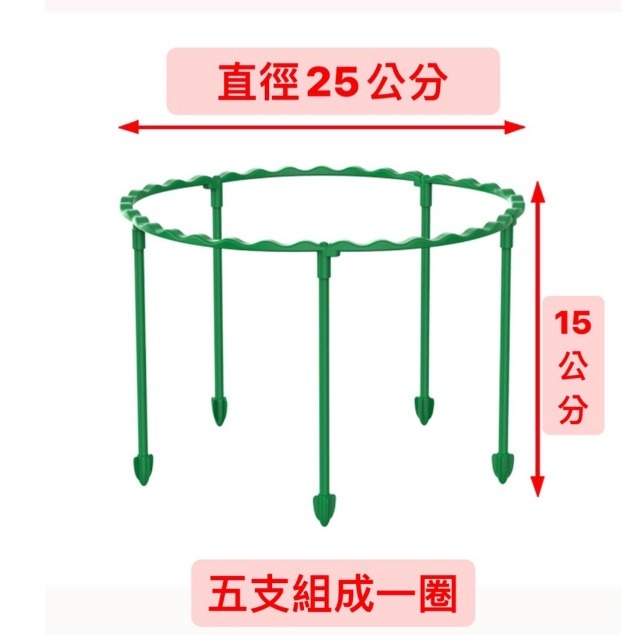新款 園藝支撐架 園藝支架 可疊加花架 花卉固定 植物支撐桿 花盆支架 花盆圍籬 花盆柵欄 防傾倒-細節圖4