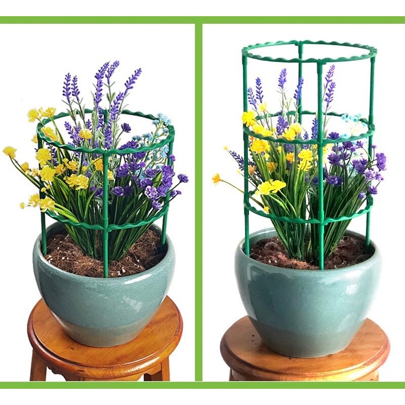 新款 園藝支撐架 園藝支架 可疊加花架 花卉固定 植物支撐桿 花盆支架 花盆圍籬 花盆柵欄 防傾倒-細節圖6