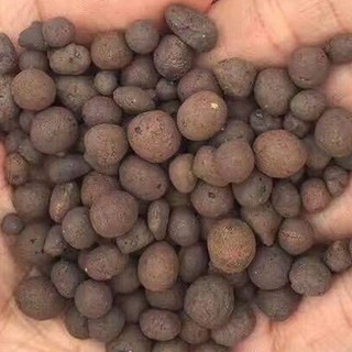 發泡煉石 下殺大包裝45-50公升380含運多肉土 觀葉介質 天南星 龜背芋 雨林植物-細節圖3