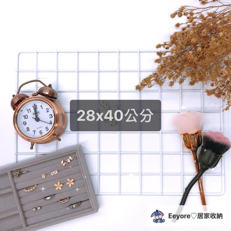 Eeyore🌿 28x40 彩色網片 井網 網格 格子網 格網 網片 網子 鐵網 小網片 魔片 烤漆網片 平面網 L網-細節圖2