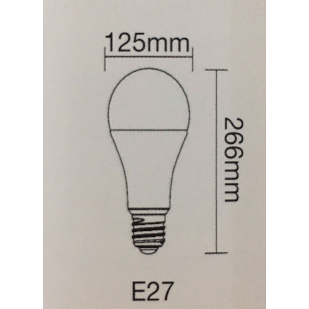 50W 燈泡-細節圖2