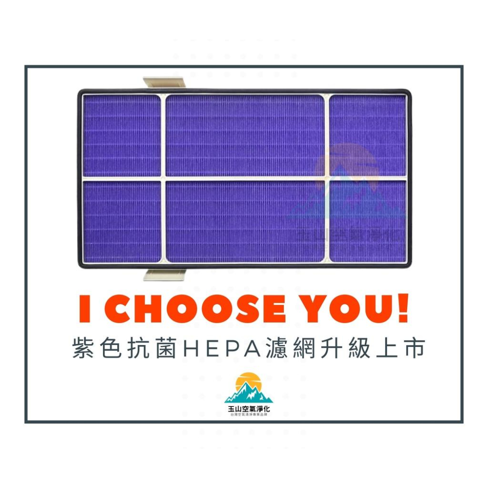 蝦皮超低價 安麗 逸新 Amway 安利 101076-T 10-1078 空氣清淨機 HEPA 濾網 活性碳 SKY-細節圖3