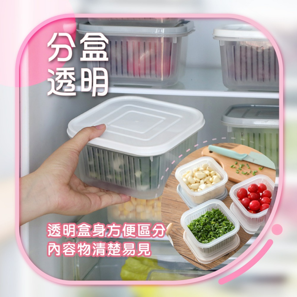 現貨 瀝水保鮮盒 保鮮盒瀝水 瀝水籃保鮮盒 蔬菜保鮮盒 雙層瀝水保鮮盒 瀝水盒 老婆叫我買-細節圖6