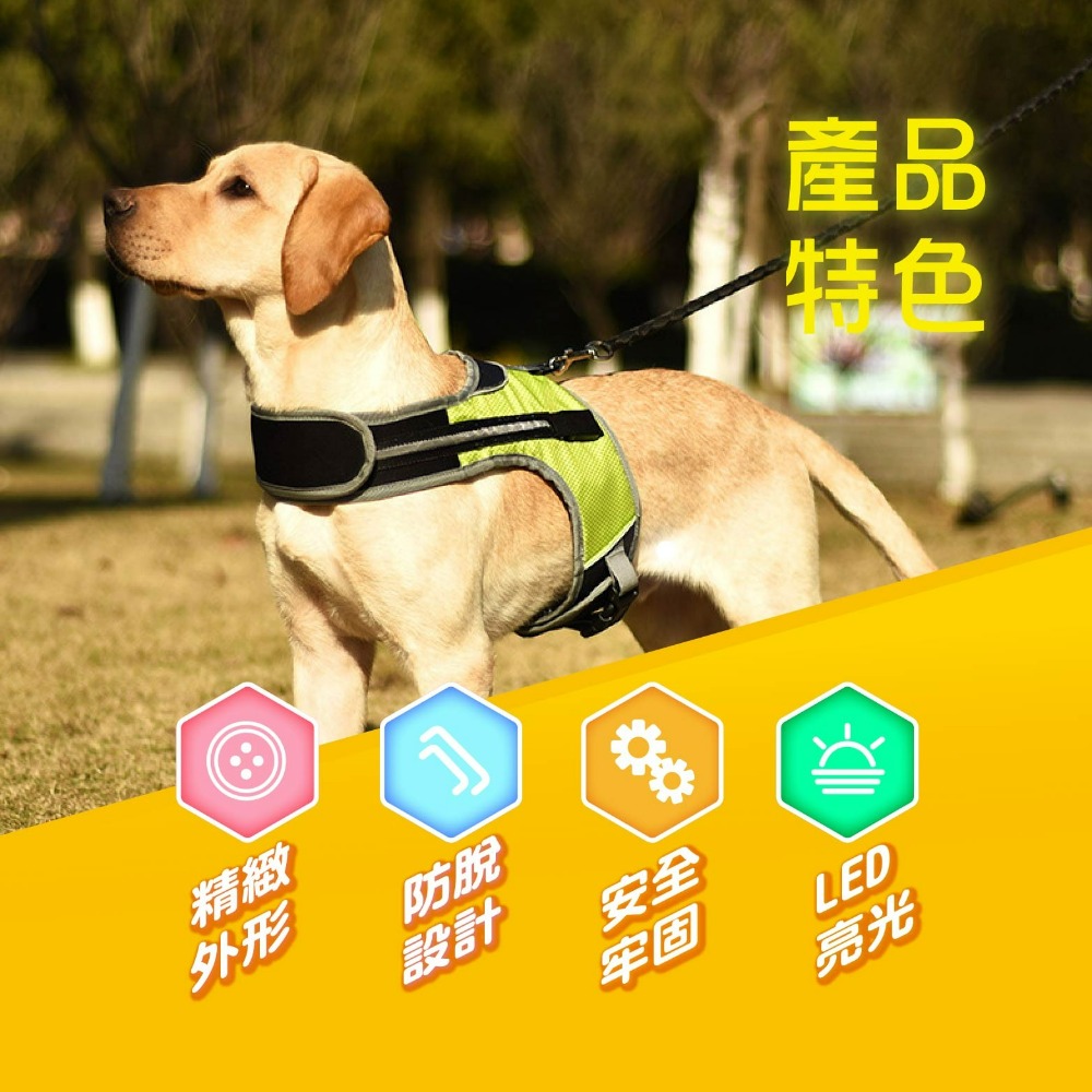 現貨 LED寵物發光背帶 寵物用品 LED防爆衝狗狗胸揹帶夜間遛狗 散步 寵物發光環 LED環 老婆叫我買-細節圖2