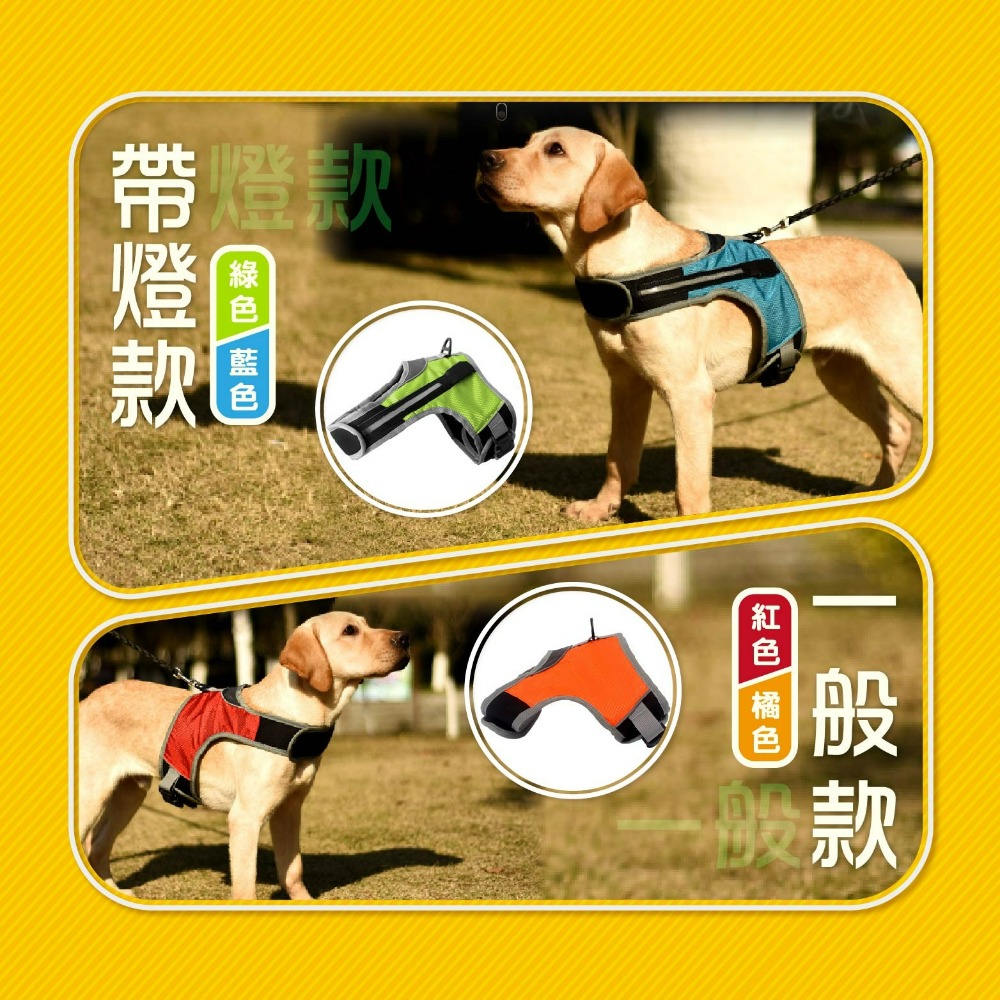 現貨 LED寵物發光背帶 寵物用品 LED防爆衝狗狗胸揹帶夜間遛狗 散步 寵物發光環 LED環 老婆叫我買-細節圖3