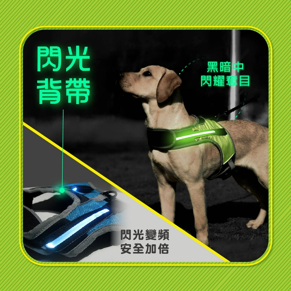 現貨 LED寵物發光背帶 寵物用品 LED防爆衝狗狗胸揹帶夜間遛狗 散步 寵物發光環 LED環 老婆叫我買-細節圖4