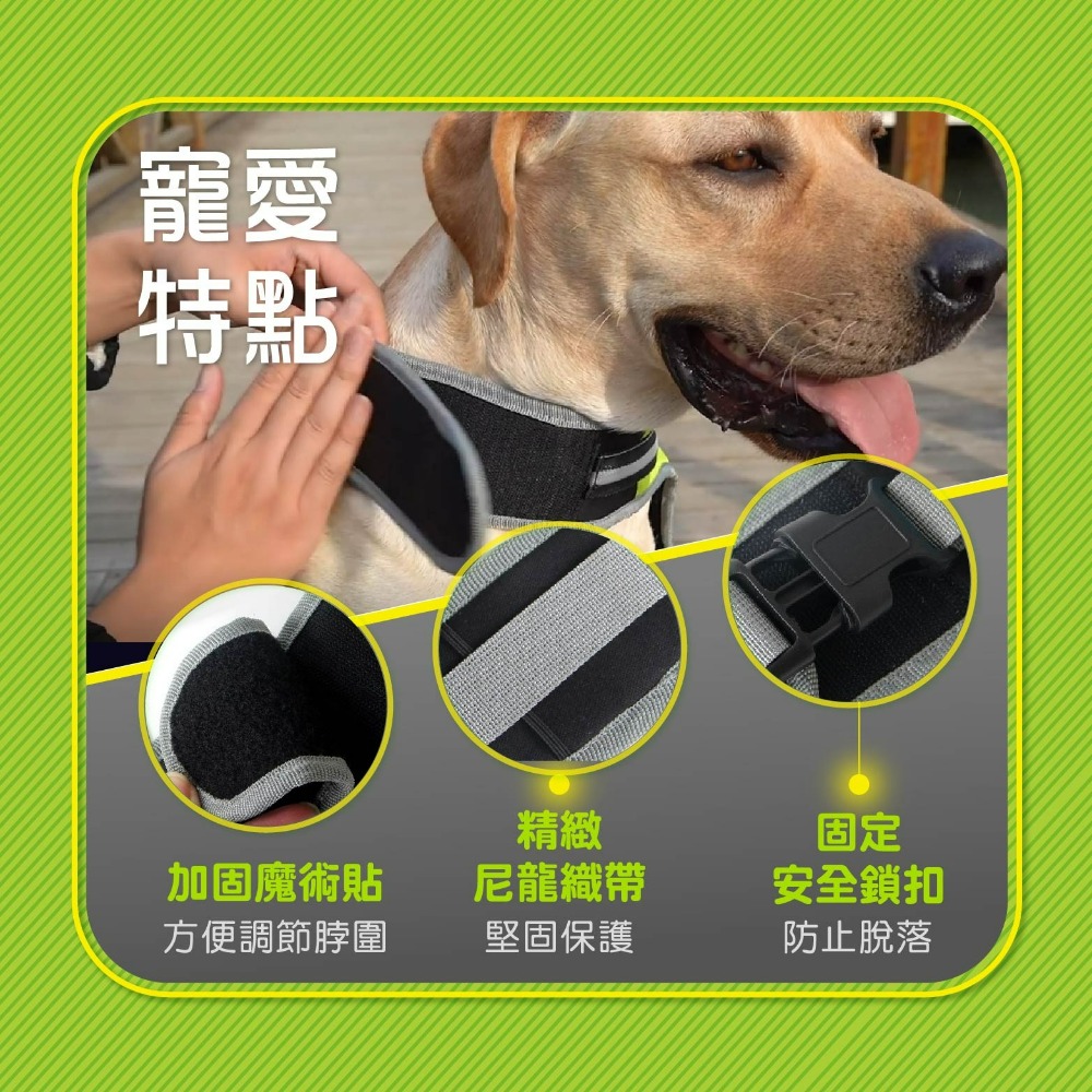現貨 LED寵物發光背帶 寵物用品 LED防爆衝狗狗胸揹帶夜間遛狗 散步 寵物發光環 LED環 老婆叫我買-細節圖5