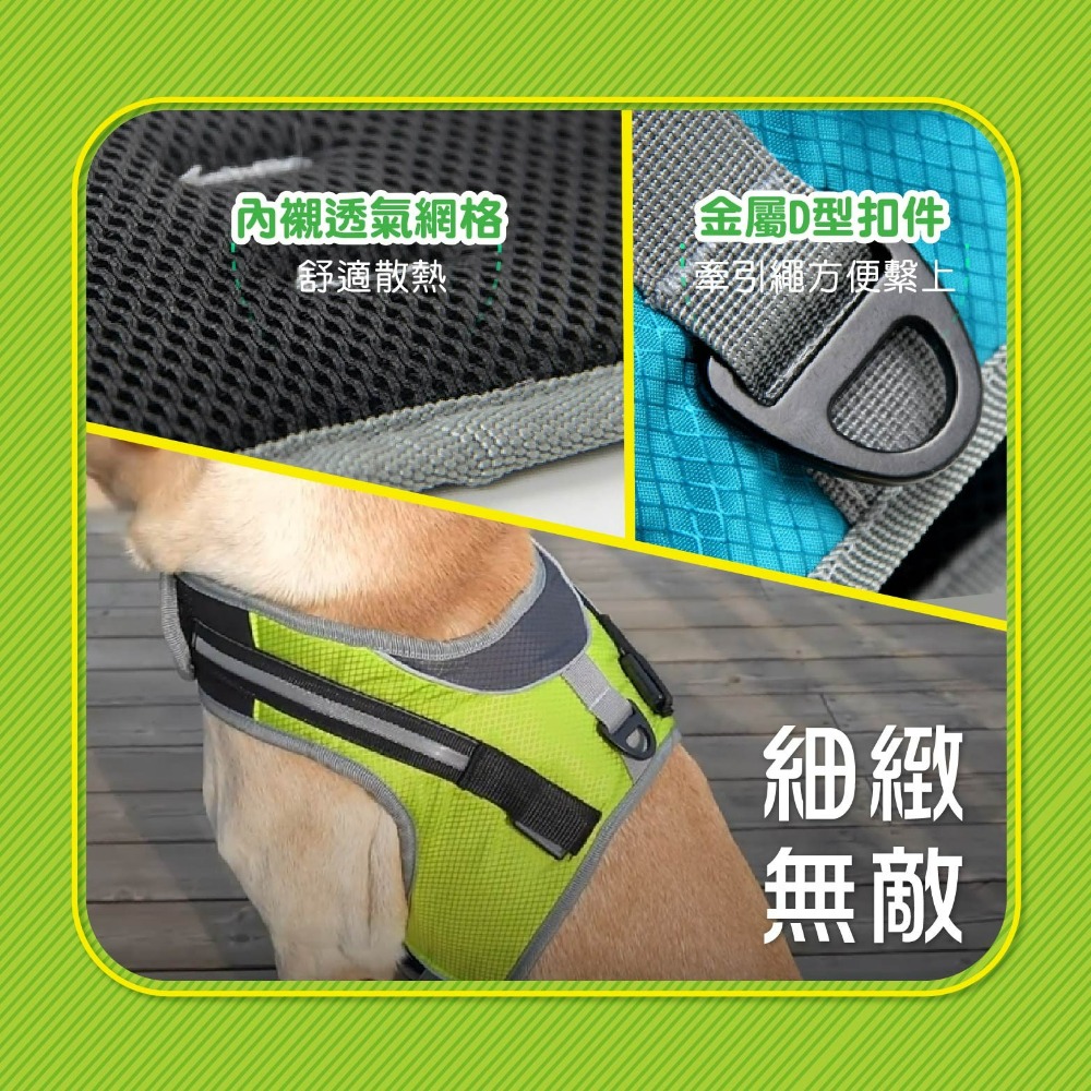 現貨 LED寵物發光背帶 寵物用品 LED防爆衝狗狗胸揹帶夜間遛狗 散步 寵物發光環 LED環 老婆叫我買-細節圖6