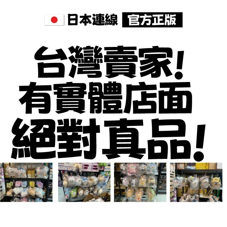 現貨 chiikawa 日本正版  吉伊卡哇 海盜系列娃娃 正版授權 快速出貨系列商品 烏薩奇 小八貓-細節圖4