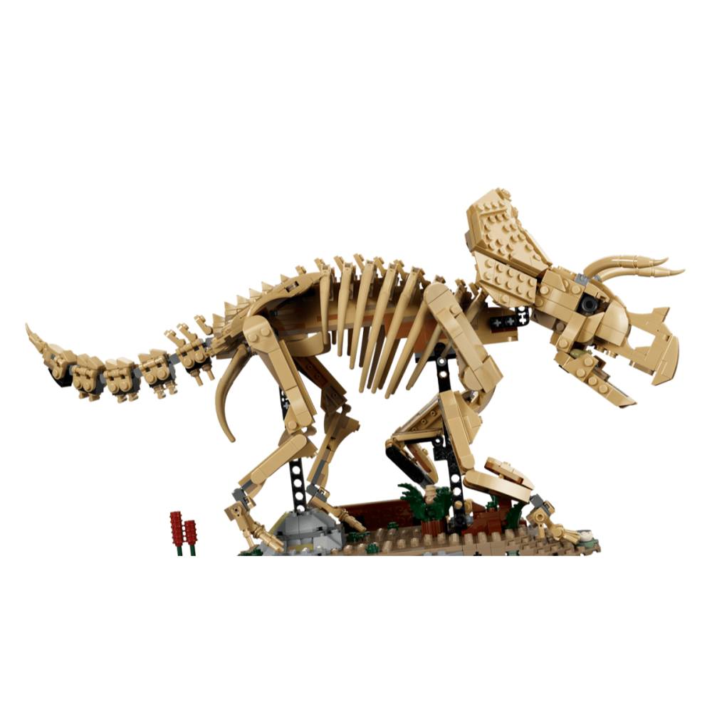【羽宙丸文具】LEGO 樂高 77985 恐龍化石：三角龍 侏羅紀世界™-細節圖2