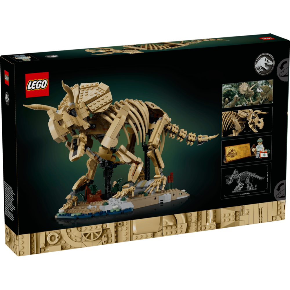 【羽宙丸文具】LEGO 樂高 77985 恐龍化石：三角龍 侏羅紀世界™-細節圖6
