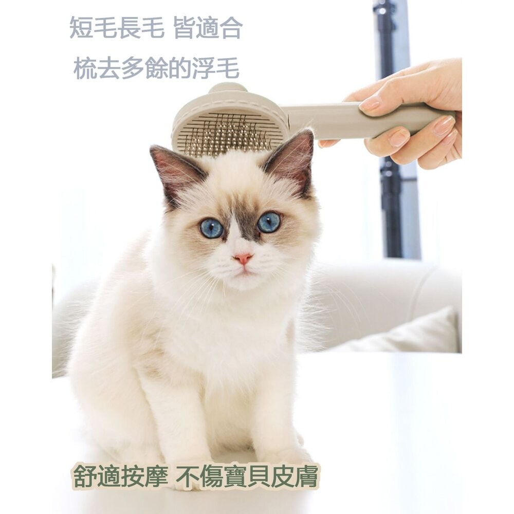 寵物專用梳毛刷 按壓梳毛刷 梳毛刷 寵物梳 貓咪梳毛 梳毛神器 去扶毛梳-細節圖2