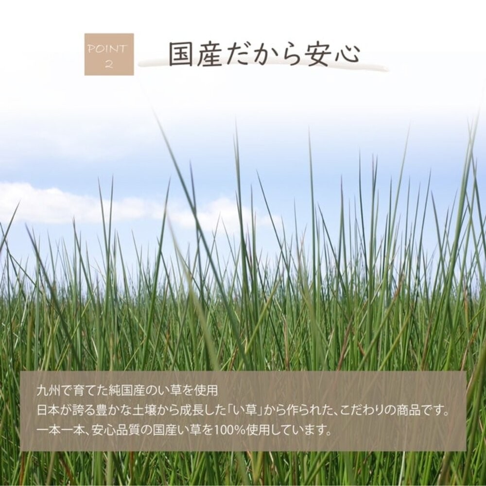 日本製 蘭草消臭捲 IKEHIKO 長效除臭 蘭草 Igusa 榻榻米 葛飾北齋 浮世繪-細節圖3