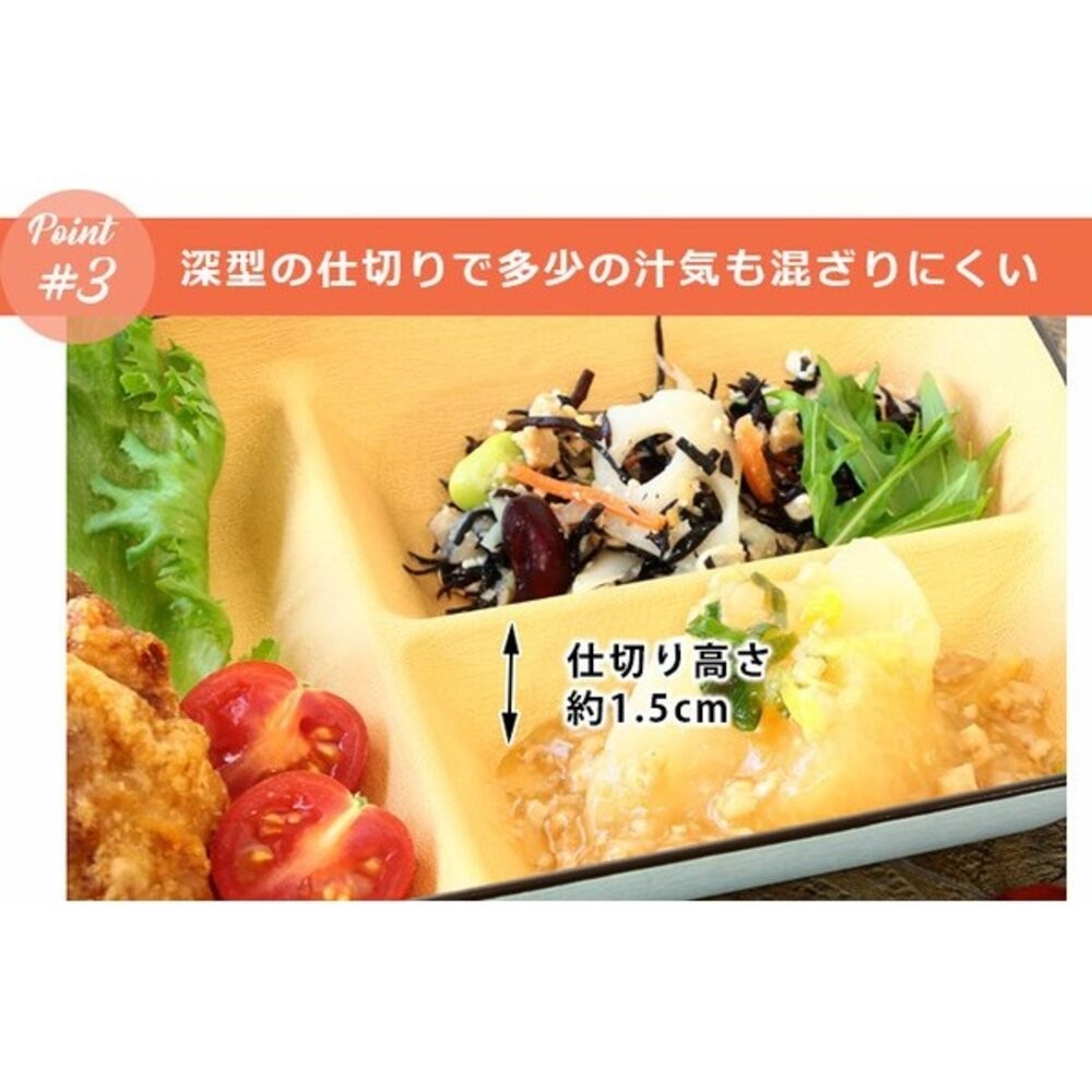 日本製 彩色樹脂分隔盤 輕量餐盤 樹脂 分隔盤 盤子 耐摔 露營盤 木質盤 分菜盤 211餐盤-細節圖6