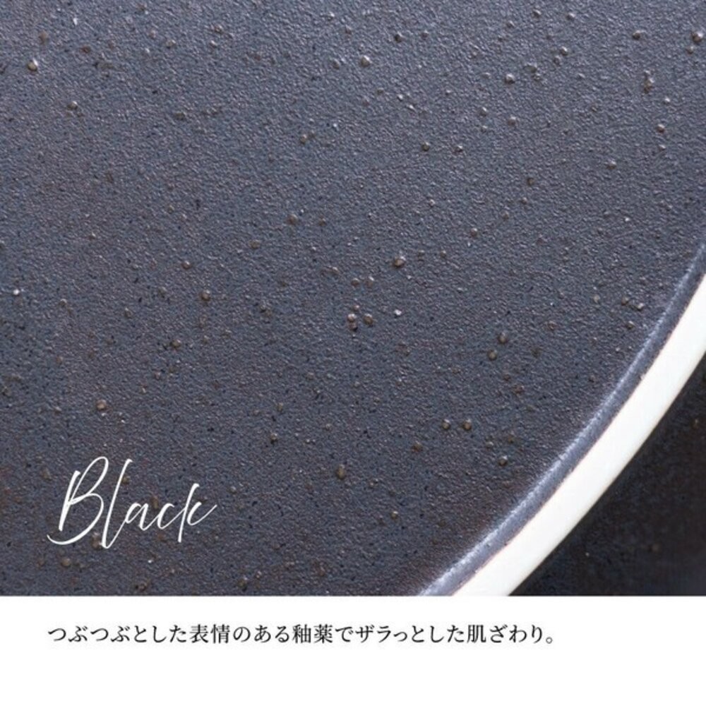 日本製 義式餐廳擺盤 Largo 高級釉色橢圓盤 陶瓷餐盤 橢圓盤 義大利麵盤 牛排盤子 咖哩盤 深盤 日本進口-細節圖7