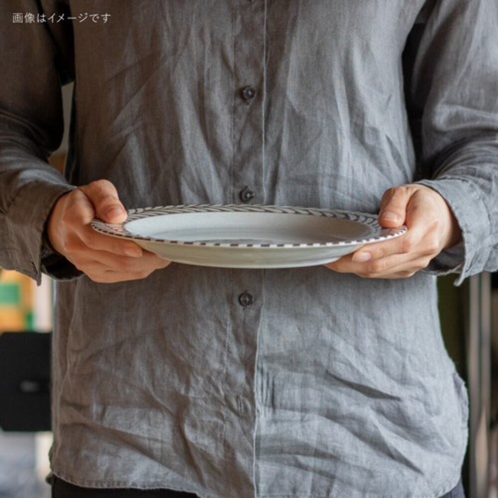 日本製 陶瓷 美濃燒 羽毛 陶瓷盤 沙拉盤 菜盤 水果盤 點心盤 圓盤 盤子 餐盤 瓷盤 碗盤 碗盤器皿 日本進口-細節圖2